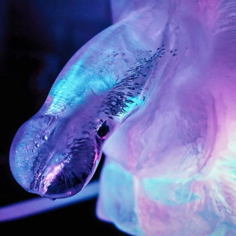 SPELA MED MIG - ENORM PENIS ISRODELGJORD
