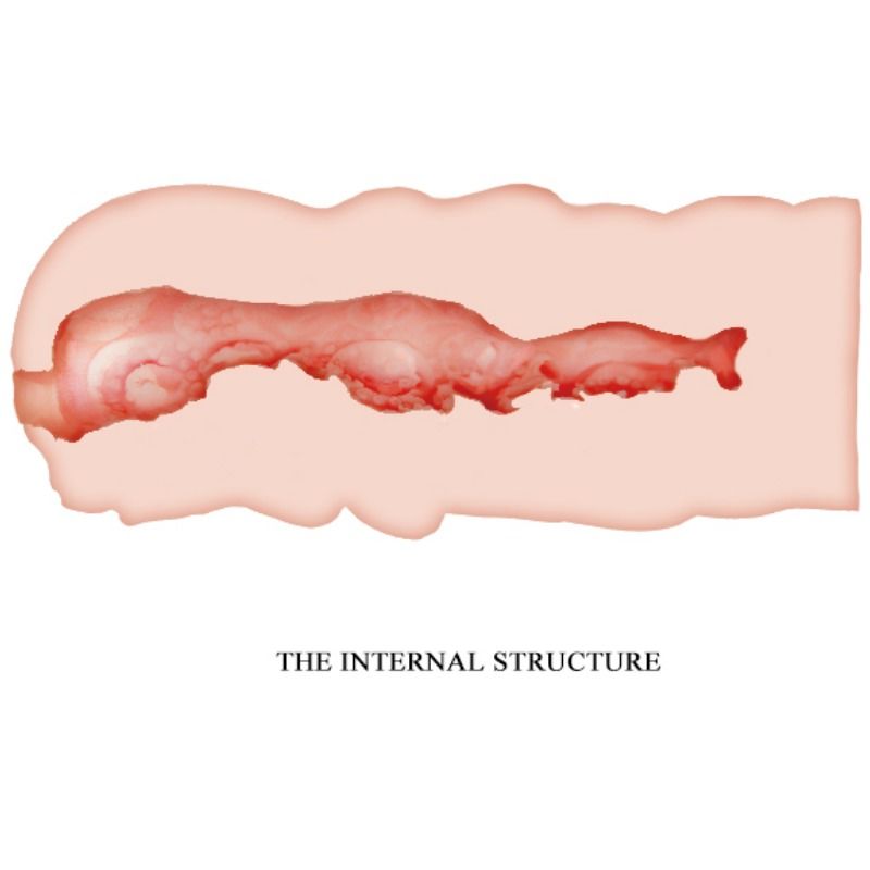 CRAZY BULL - ISABEL VAGINAMATURBATOR 13,5 CM